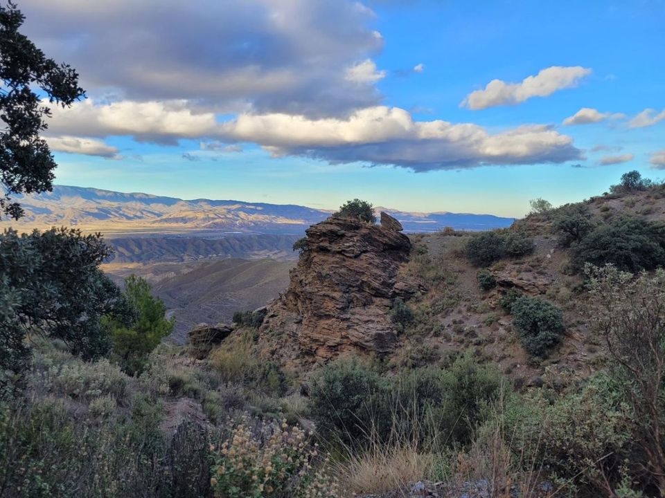 Landejendom i Tabernas, Almeria - foto 4