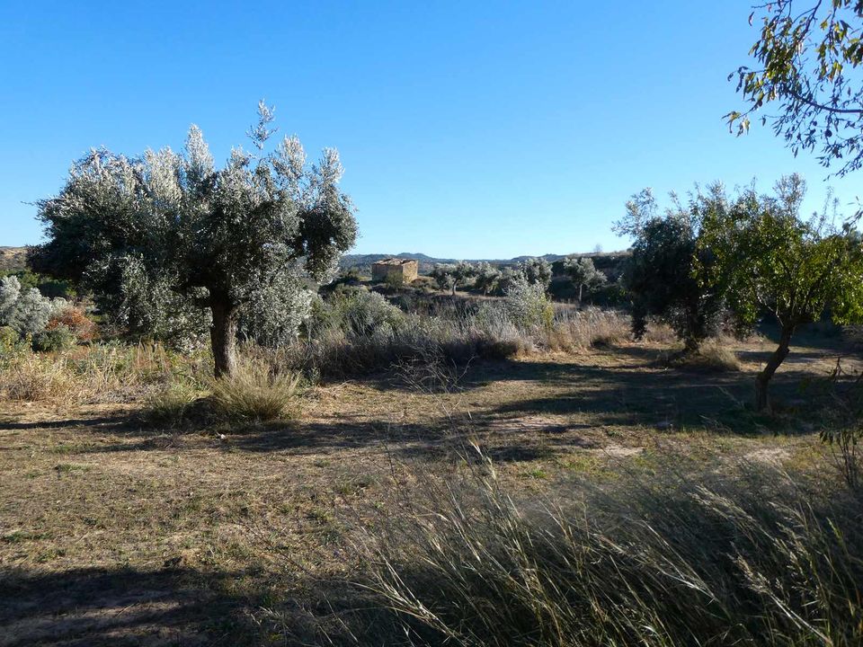 Finca i Maella, Zaragoza - bilde 4