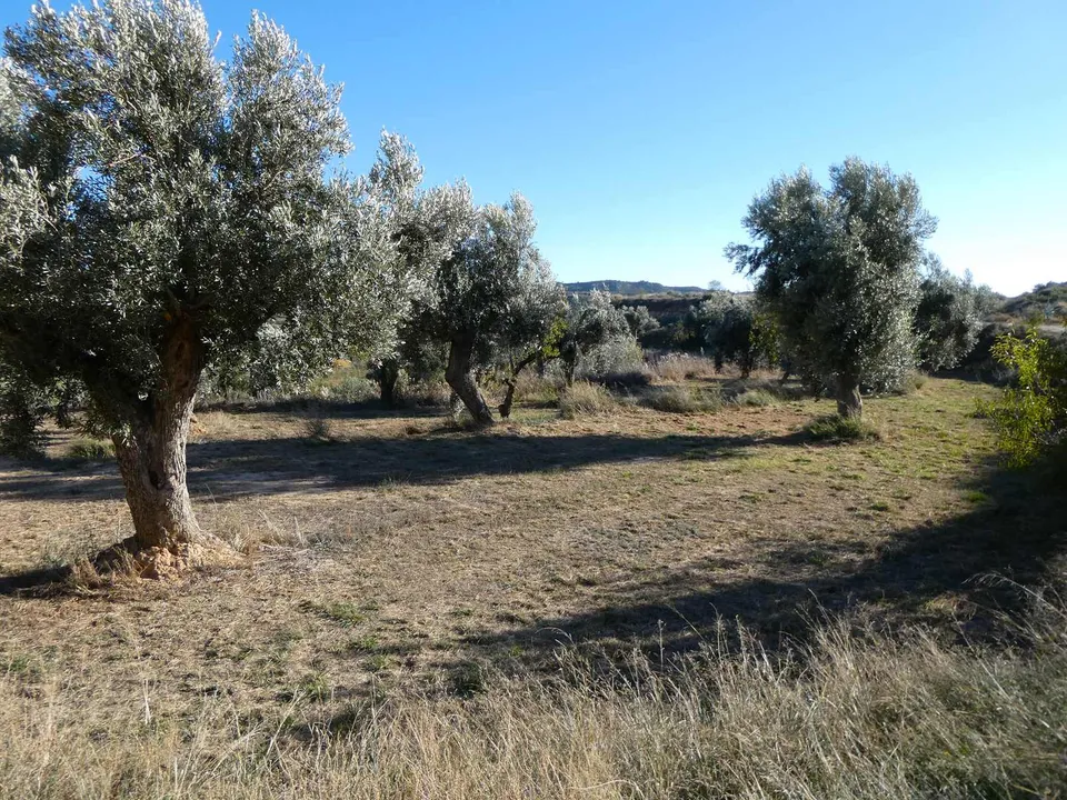 Finca i Maella, Zaragoza - bilde 3