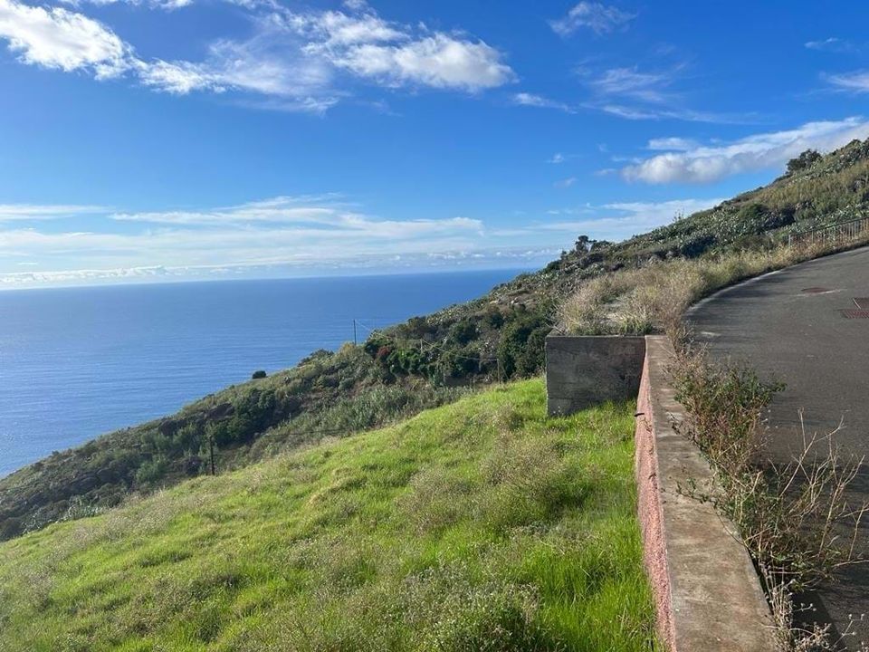 Helårsgrund i Calheta, Madeira - foto 2