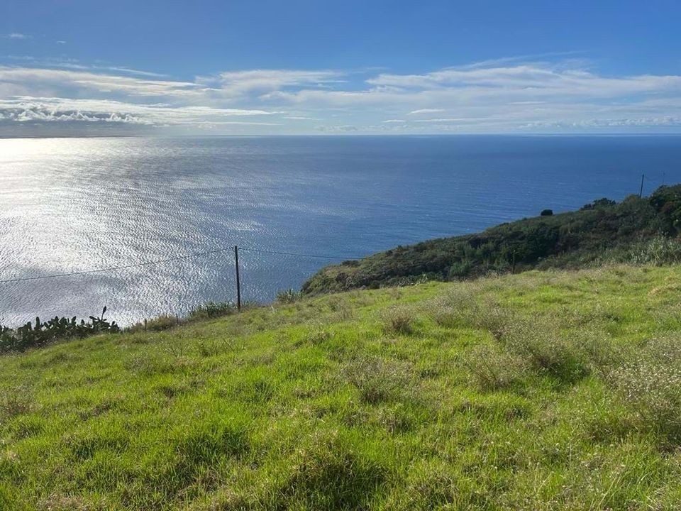 Helårsgrund i Calheta, Madeira - foto 4