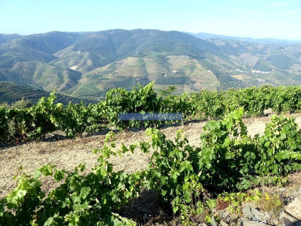 Helårsgrund i Sao Joao da Pesqueira, Viseu - foto 2