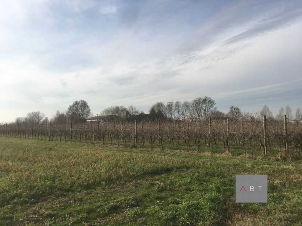 Helårsgrund i Villa del Conte, Padua - foto 4