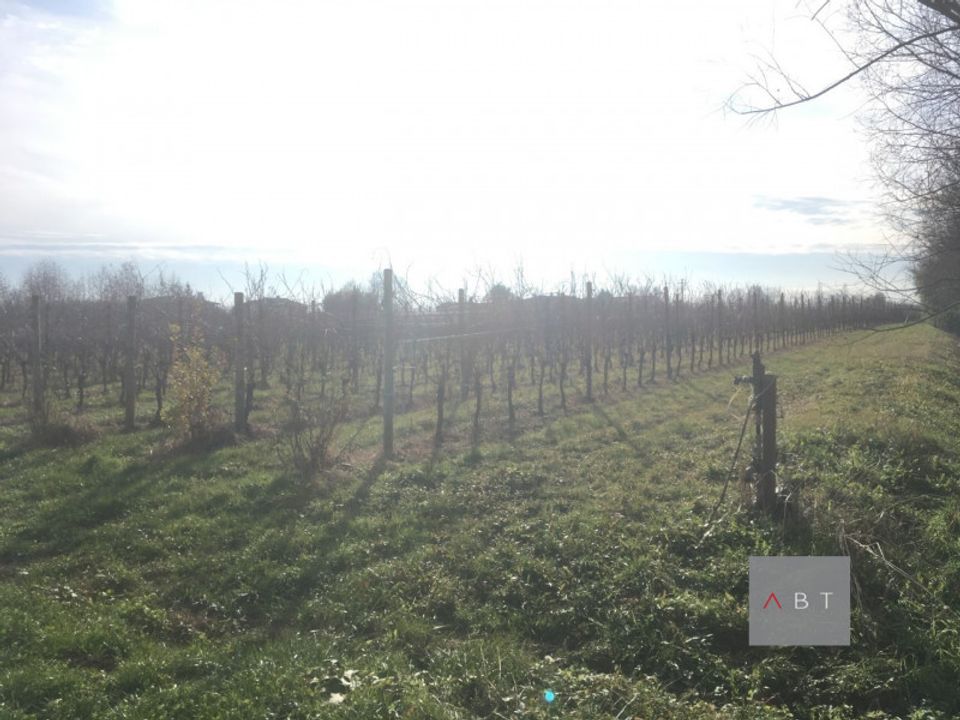 Helårsgrund i Villa del Conte, Padua - foto 5