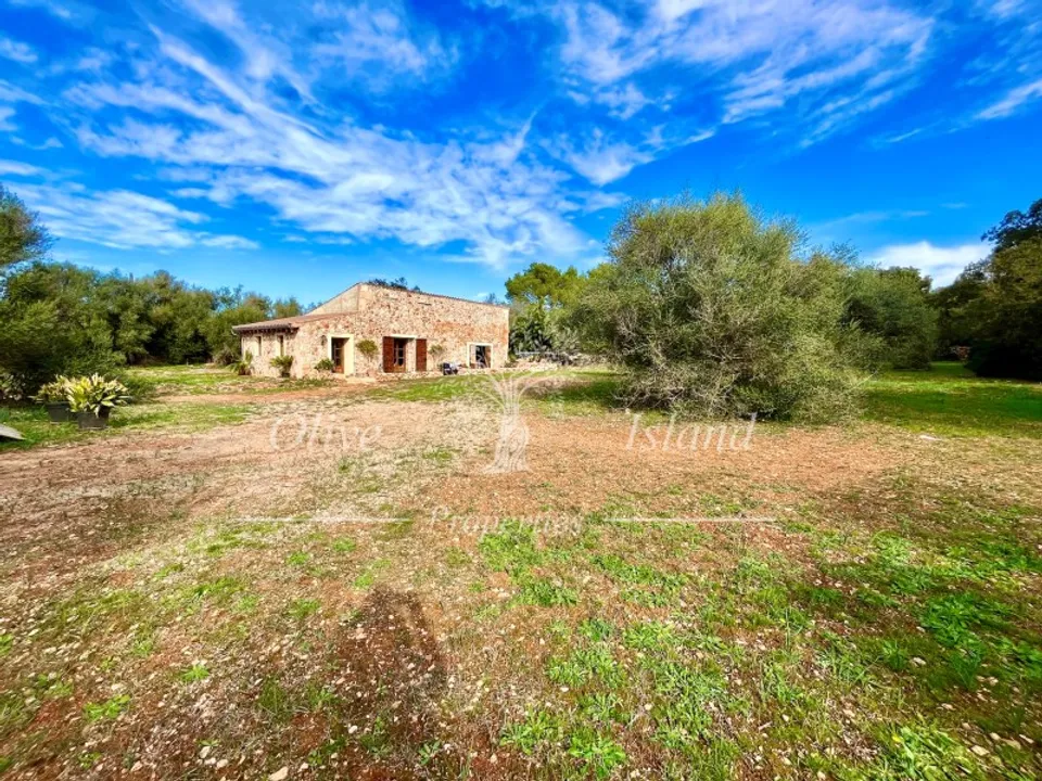 Landejendom i Sencelles, Mallorca - foto 2