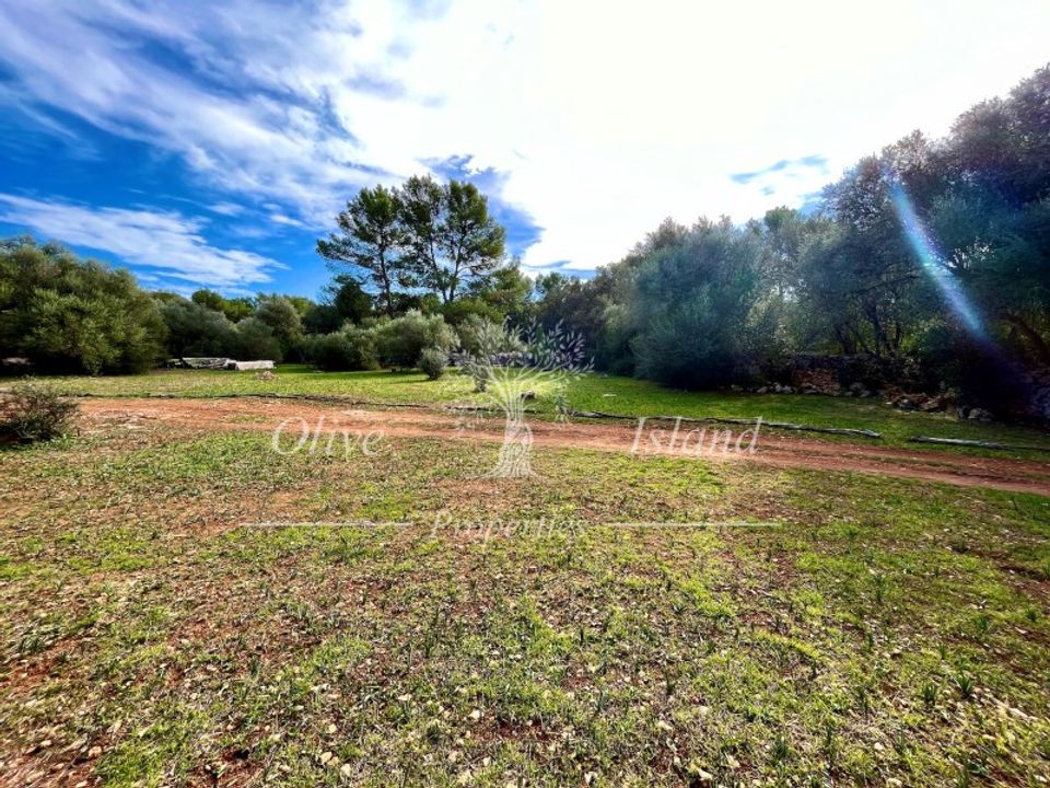 Landejendom i Sencelles, Mallorca - foto 3