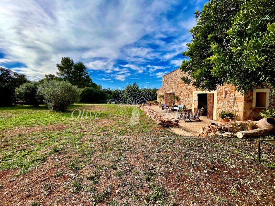 Landejendom i Sencelles, Mallorca - foto 4