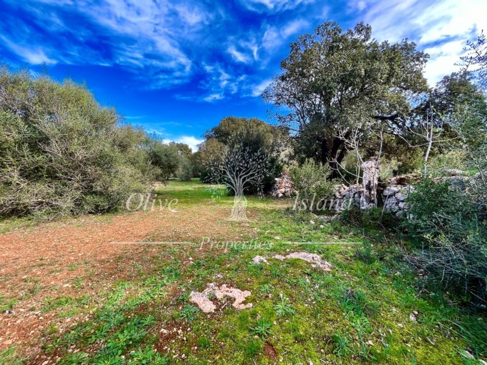 Landejendom i Sencelles, Mallorca - foto 5