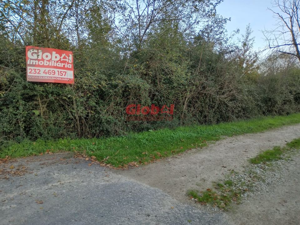 Helårsgrund i Vouzela, Viseu - foto 1