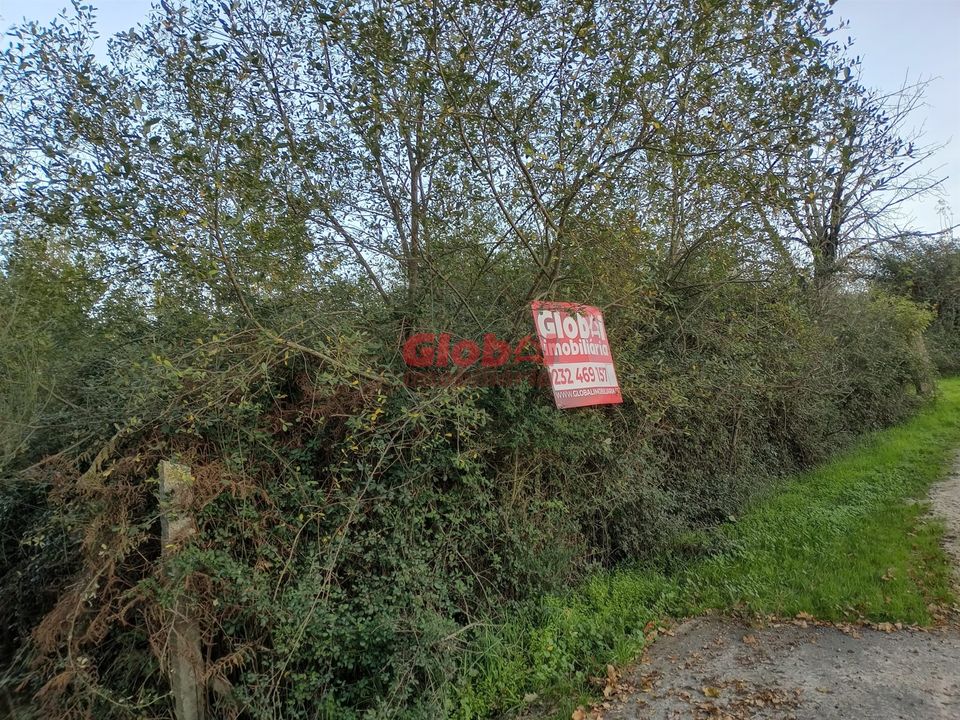 Helårsgrund i Vouzela, Viseu - foto 2