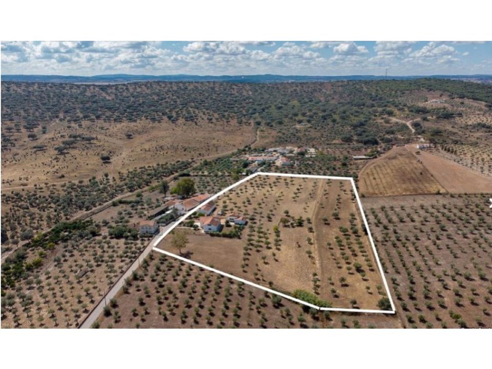 Farm i Monforte, Portalegre - foto 4