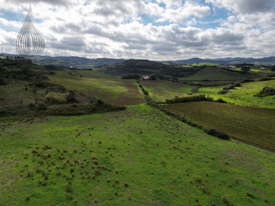 Farm i Dois Portos, Lisbon - foto 4