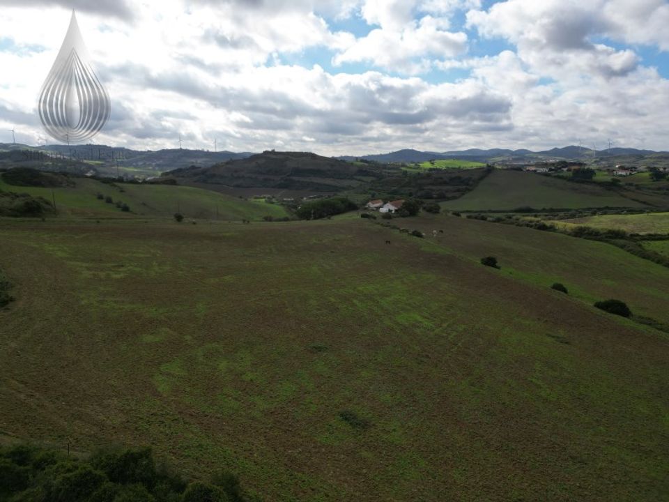 Farm i Dois Portos, Lisbon - foto 5