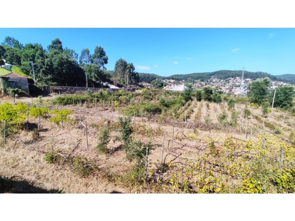 Farm i Esposende, Braga - foto 1