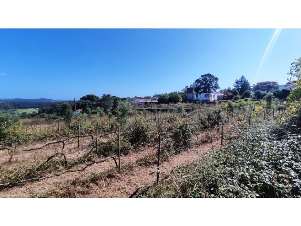 Farm i Esposende, Braga - foto 3
