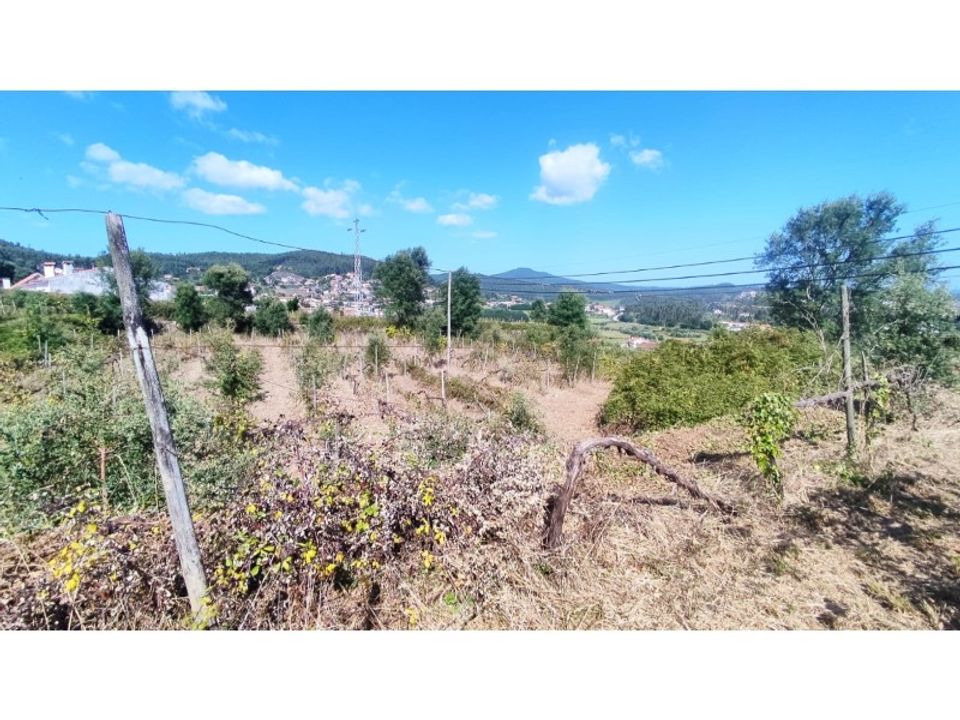 Farm i Esposende, Braga - foto 4