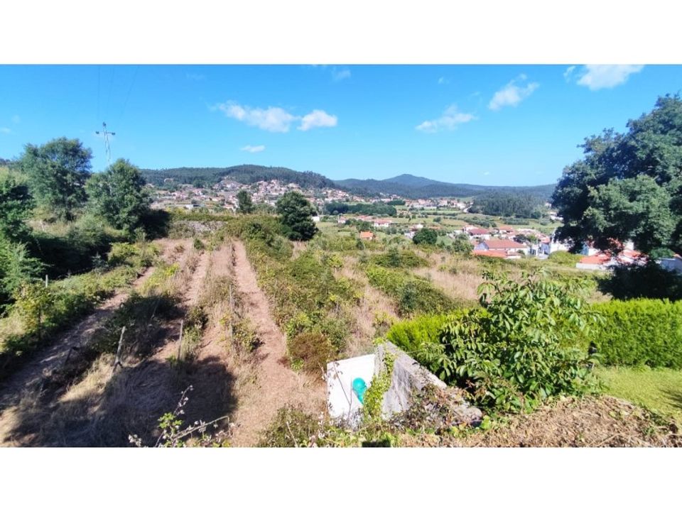 Farm i Esposende, Braga - foto 5