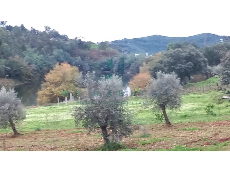 Helårsgrund i Penacova, Coimbra - foto 2