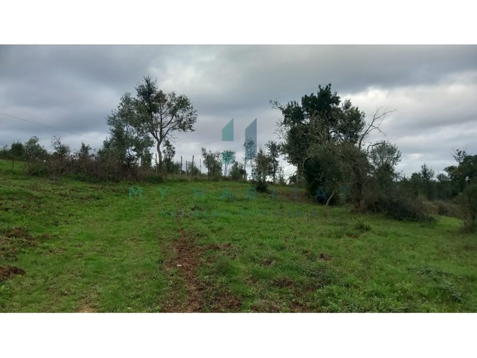Helårsgrund i Penacova, Coimbra - foto 3