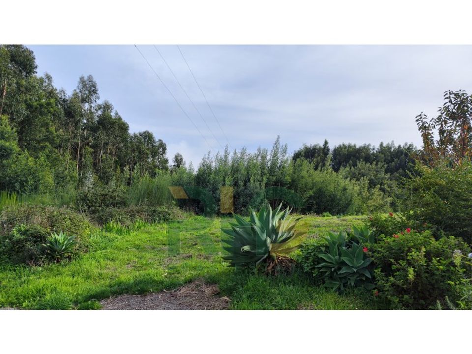 Helårsgrund i Camacha, Madeira - foto 1