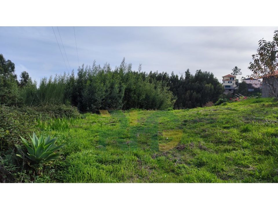 Helårsgrund i Camacha, Madeira - foto 3