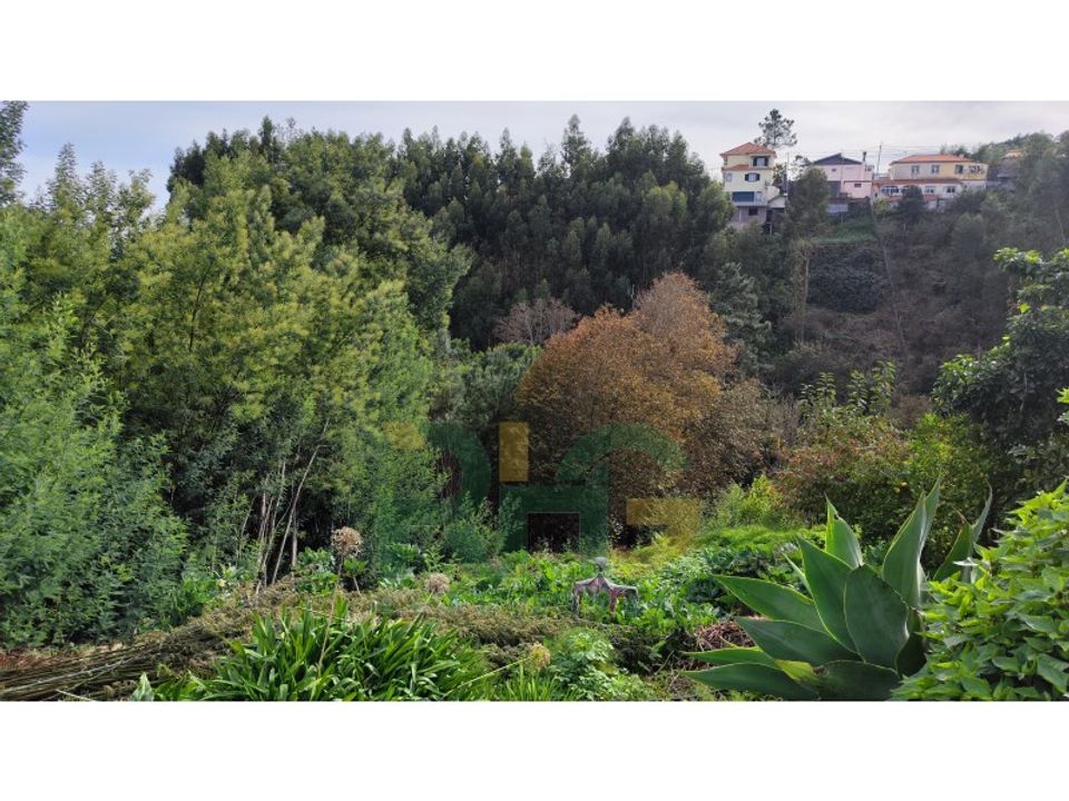 Helårsgrund i Camacha, Madeira - foto 5