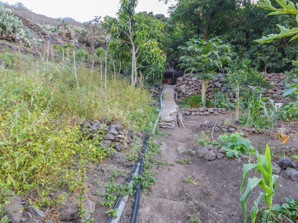 Terra a San Bartolome De Tirajana, Gran Canaria - foto 1