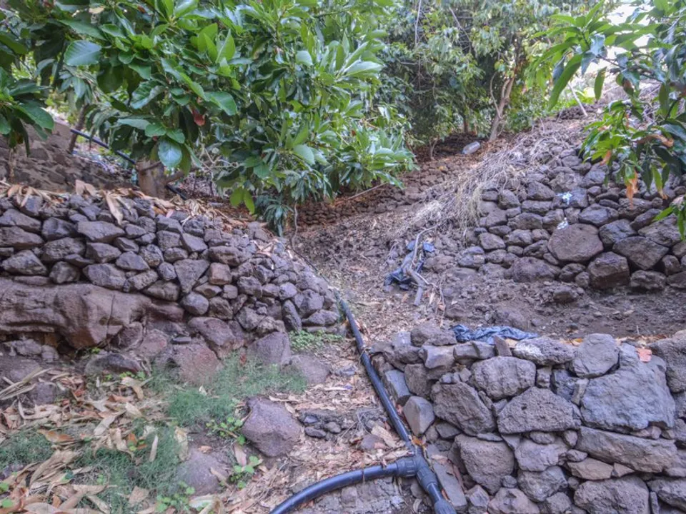 Terra a San Bartolome De Tirajana, Gran Canaria - foto 4
