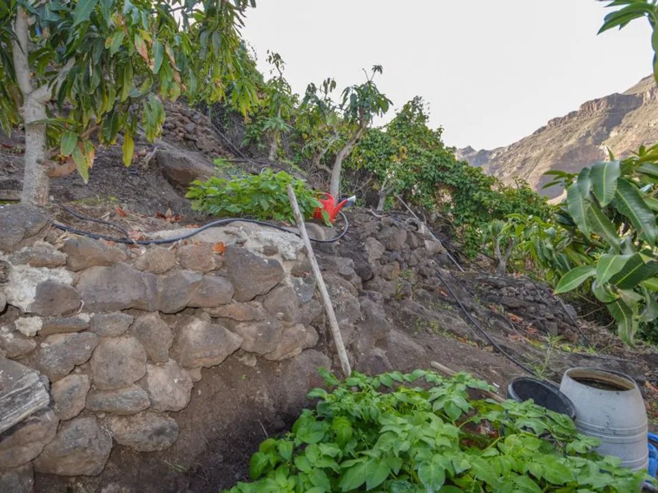 Terra a San Bartolome De Tirajana, Gran Canaria - foto 5
