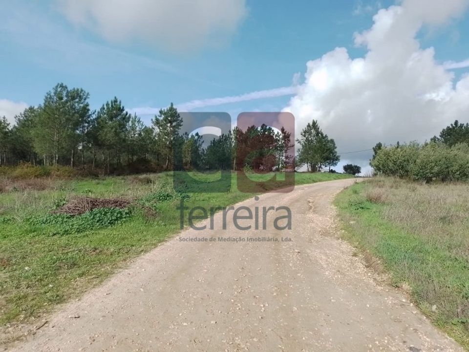 Helårsgrund i Almeirim, Santarem - foto 1