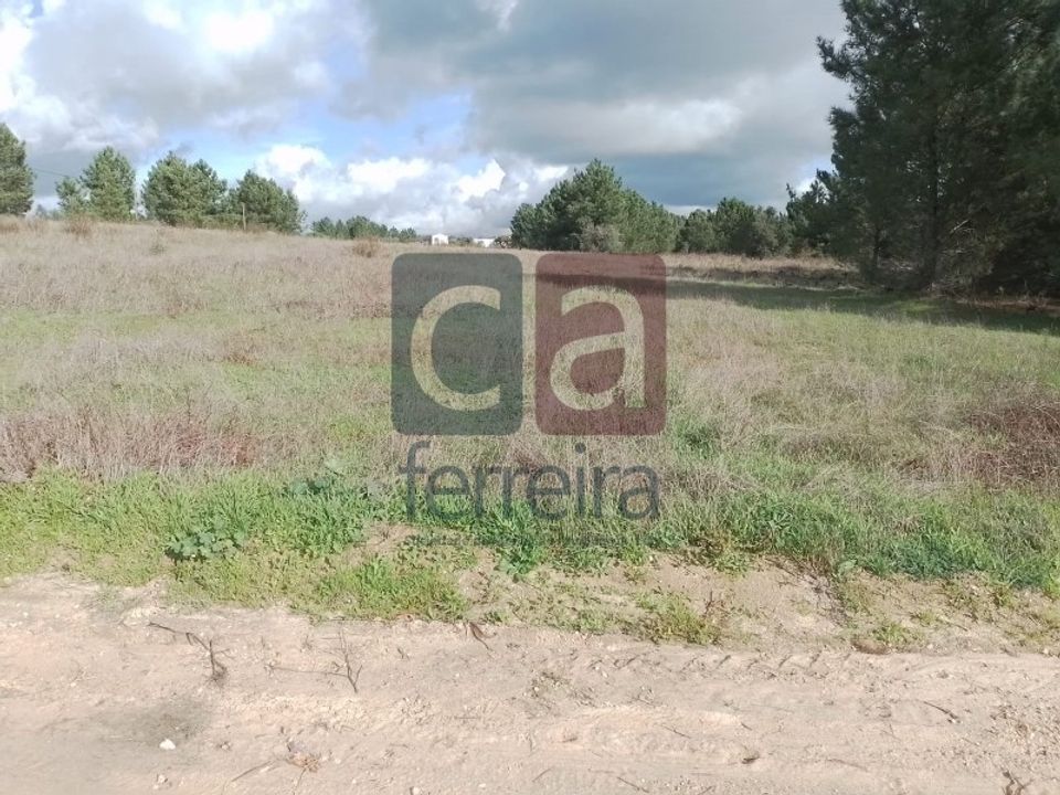 Helårsgrund i Almeirim, Santarem - foto 2