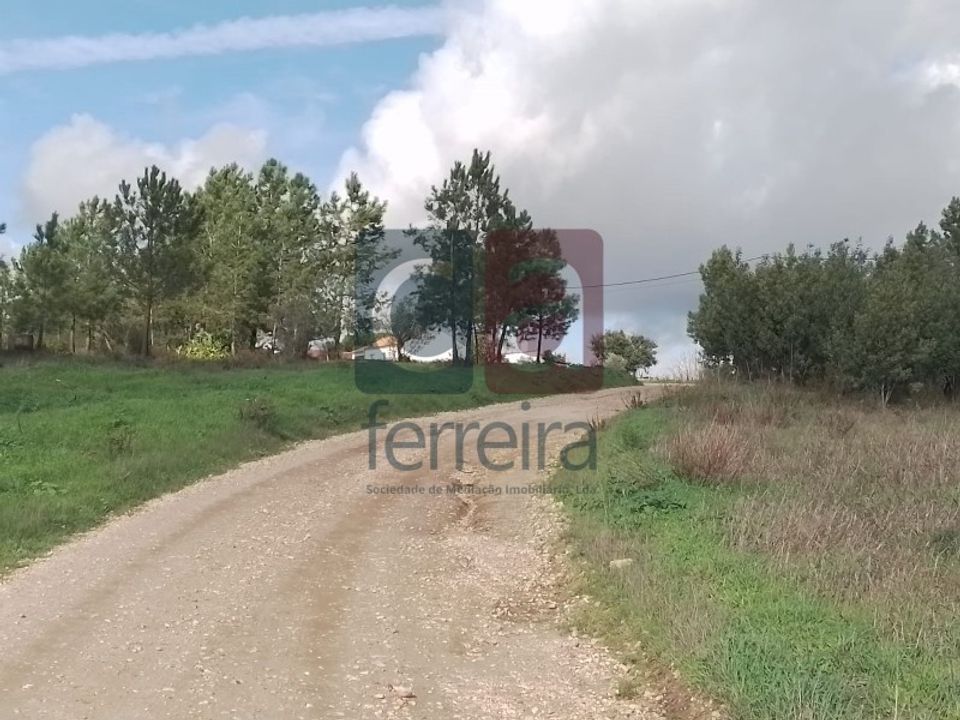 Helårsgrund i Almeirim, Santarem - foto 3