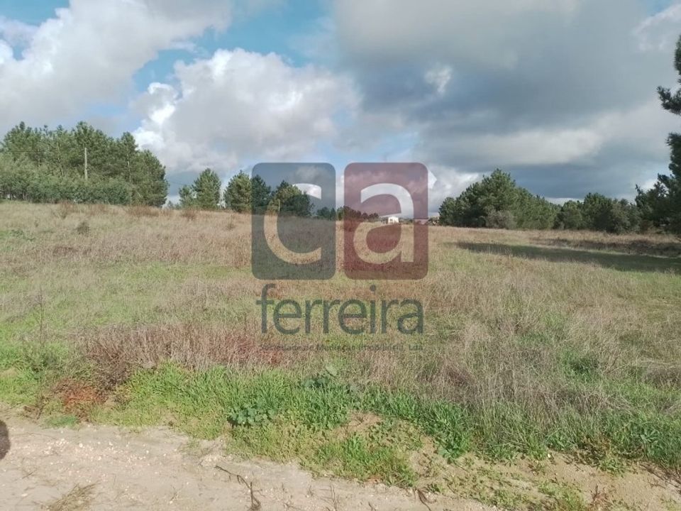Helårsgrund i Almeirim, Santarem - foto 4