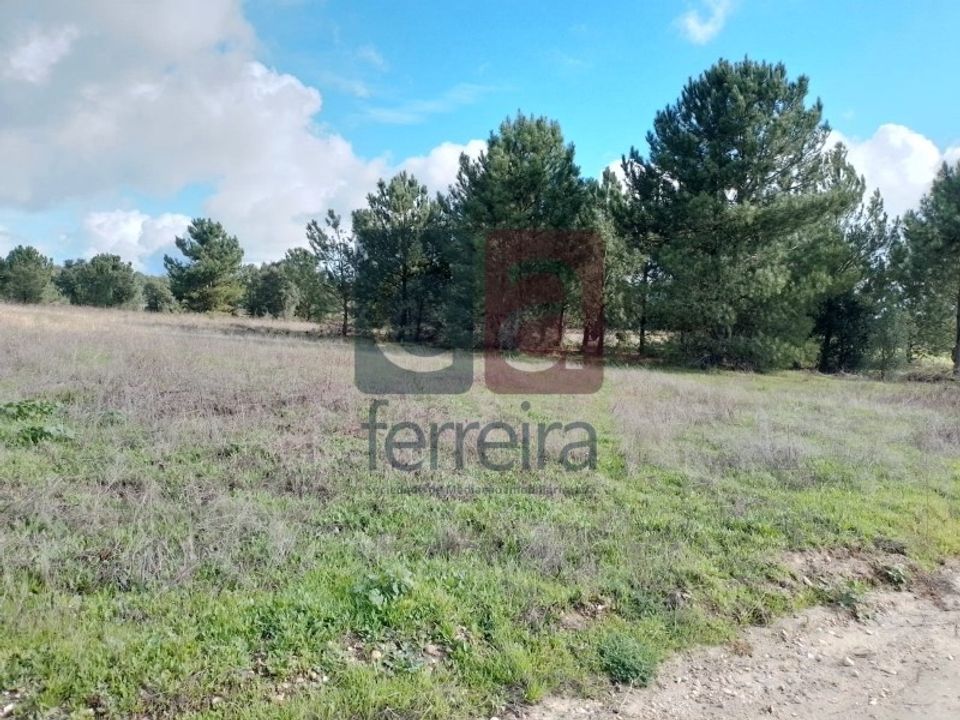 Helårsgrund i Almeirim, Santarem - foto 5