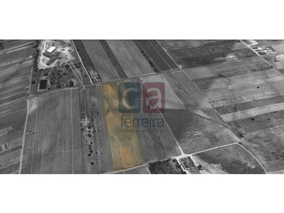 Helårsgrund i Alpiarca, Santarem - foto 2
