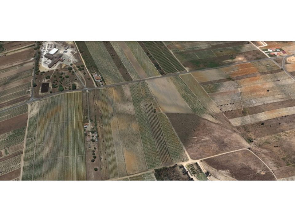 Helårsgrund i Alpiarca, Santarem - foto 3