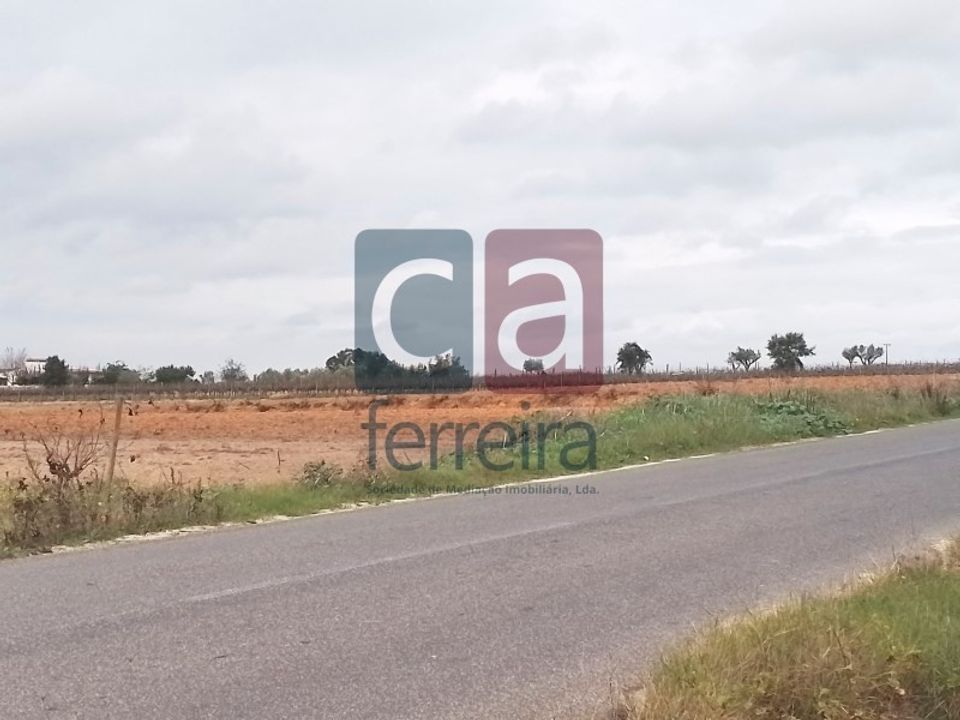 Helårsgrund i Alpiarca, Santarem - foto 4
