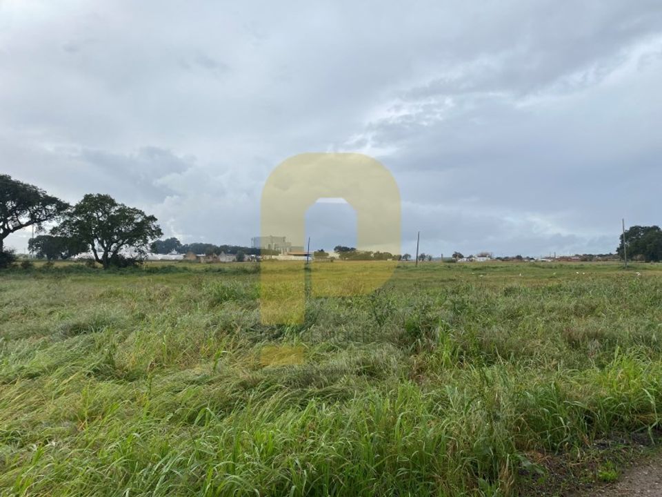 Farm i Montijo, Setubal - foto 2