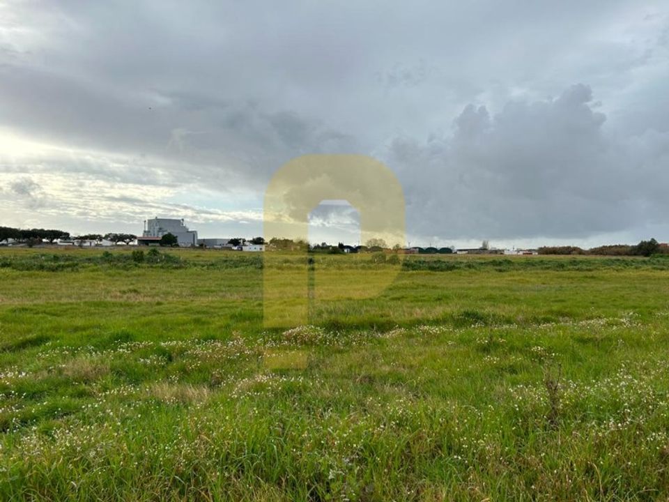 Farm i Montijo, Setubal - foto 4