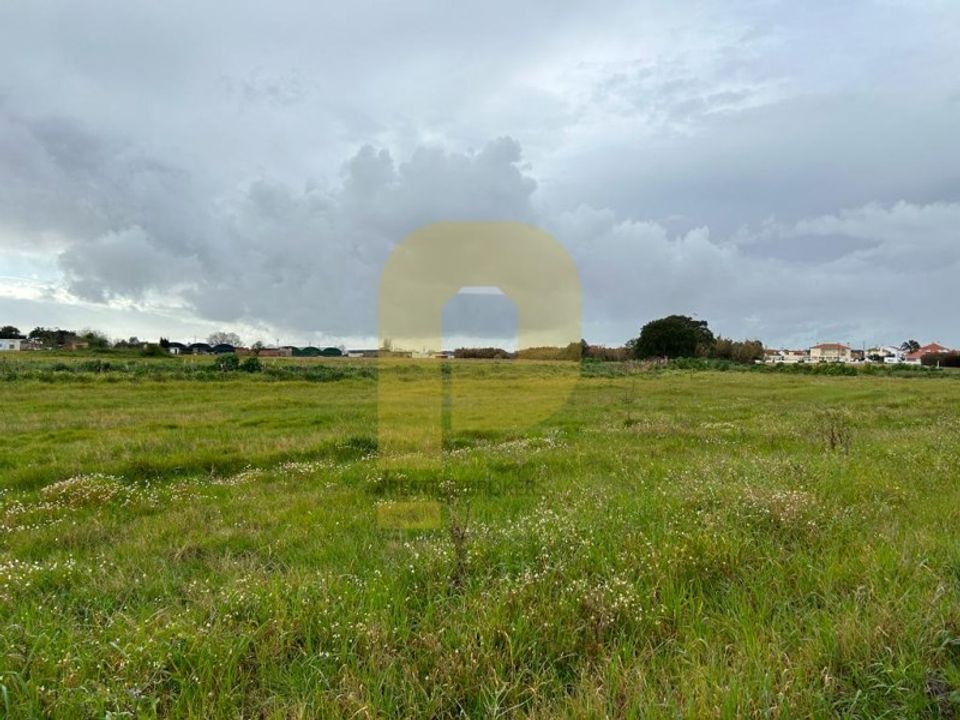 Farm i Montijo, Setubal - foto 5