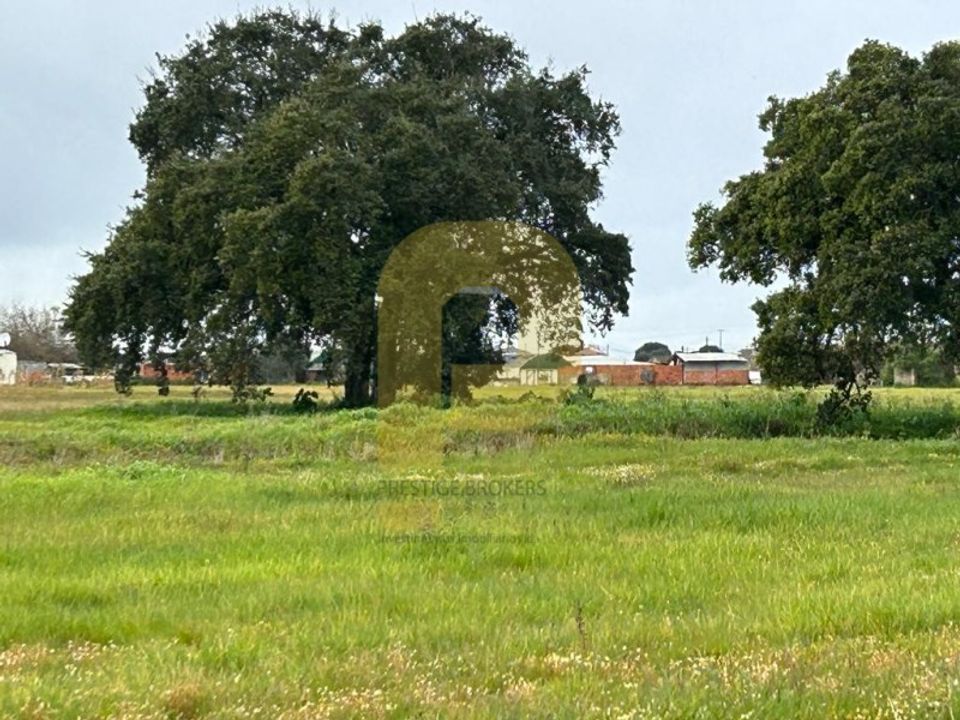 Farm i Montijo, Setubal - foto 1