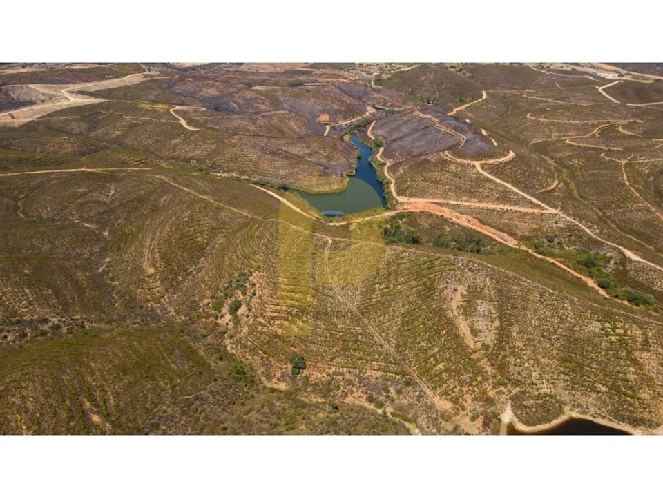 Landejendom i Mexilhoeira Grande, Faro - foto 3