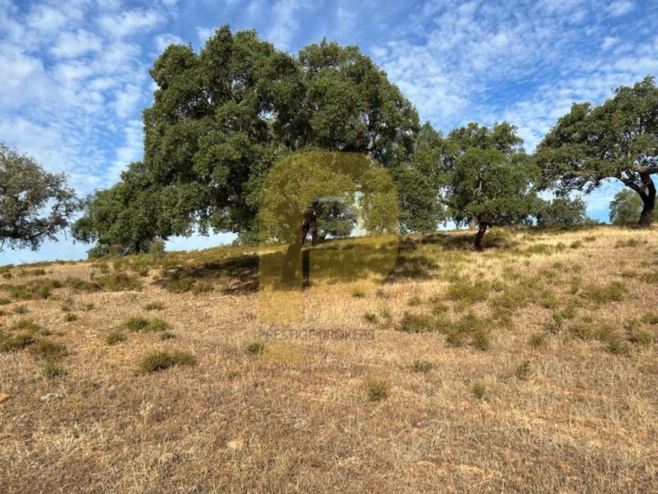 Landejendom i Safara, Beja - foto 3