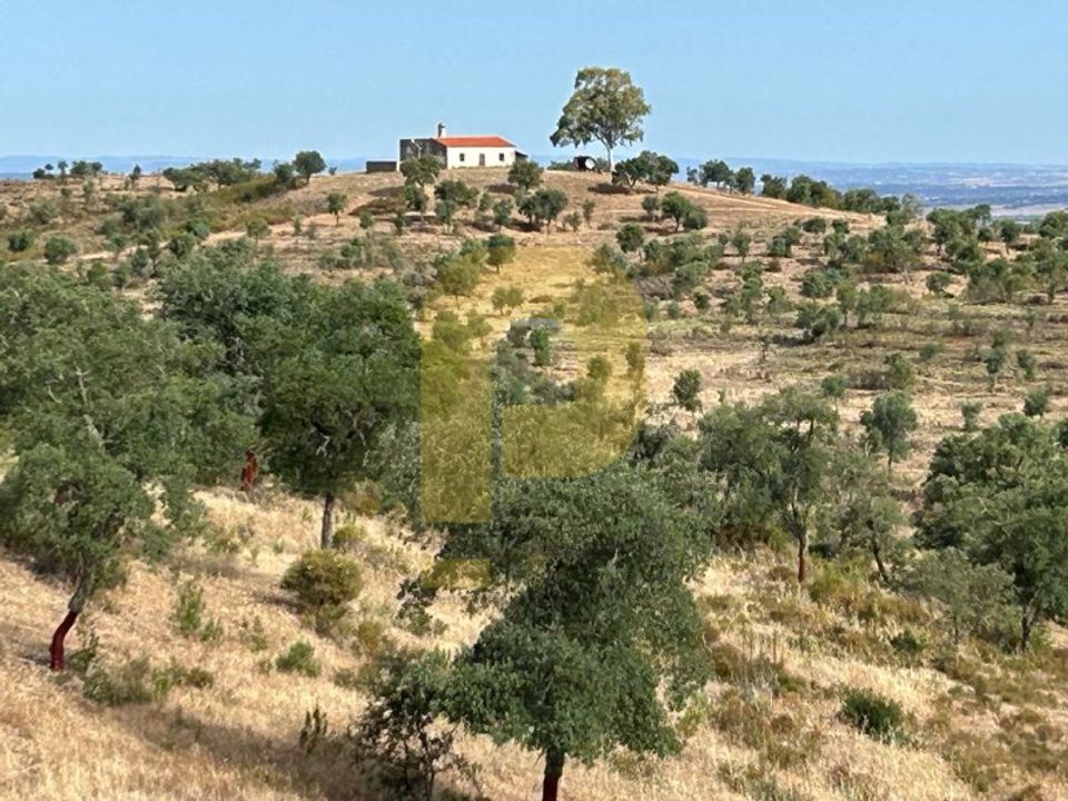 Landejendom i Safara, Beja - foto 4