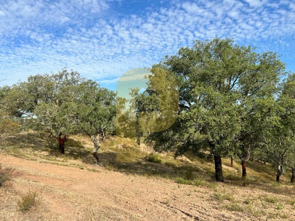 Landejendom i Safara, Beja - foto 1