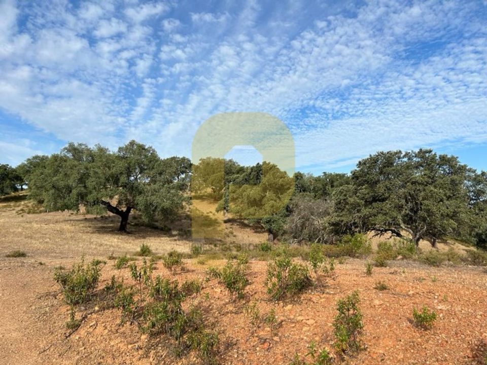 Landejendom i Safara, Beja - foto 5