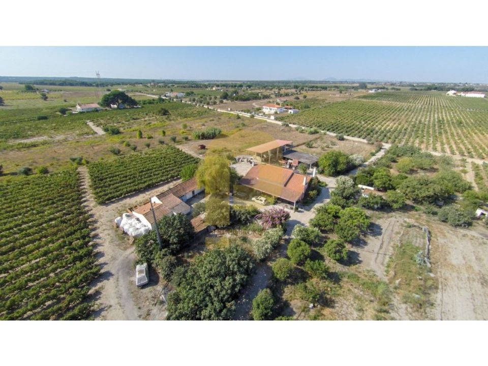 Farm i Palmela, Setubal - foto 1