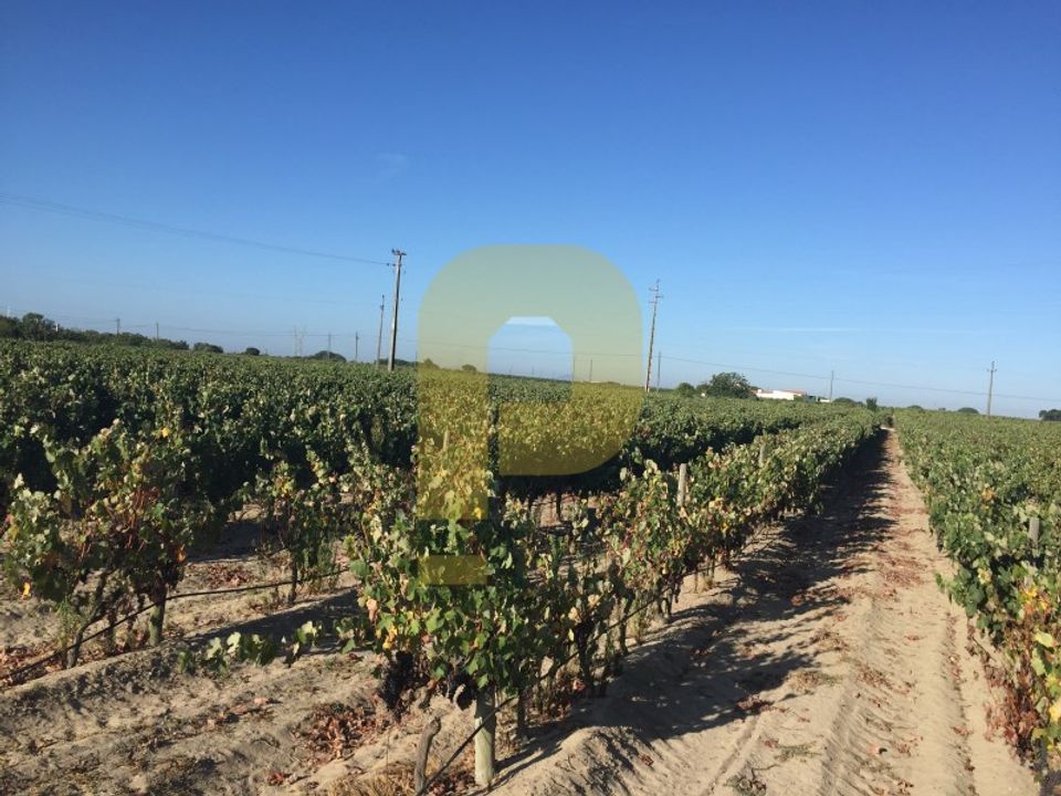 Farm i Palmela, Setubal - foto 2