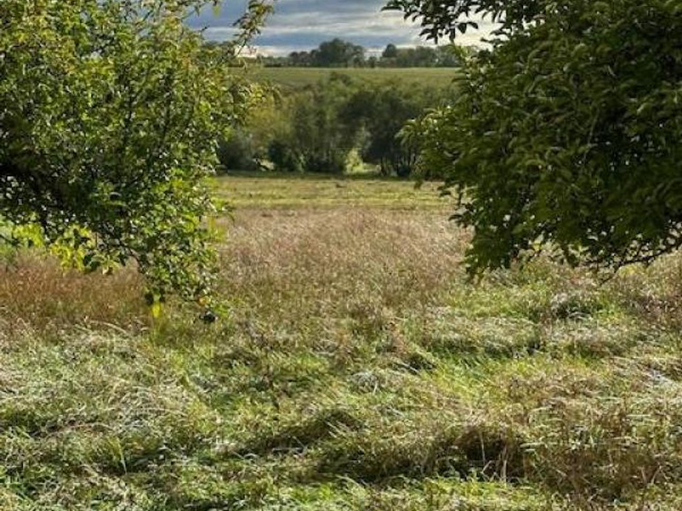 Helårsgrund i Moncel-sur-Seille, Meurthe-et-Moselle - foto 3