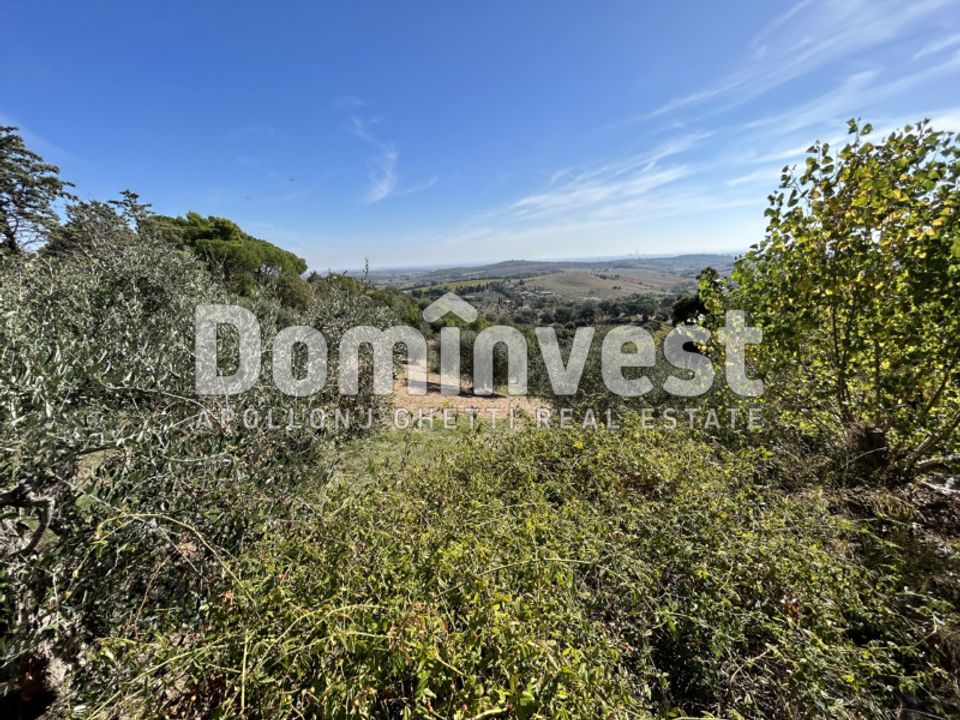 Villa i Capalbio, Grosseto - foto 2